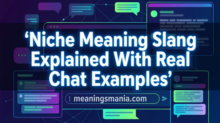 niche-meaning-slang