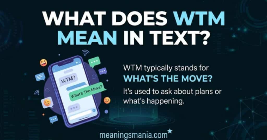 what-does-wtm-mean-in-text