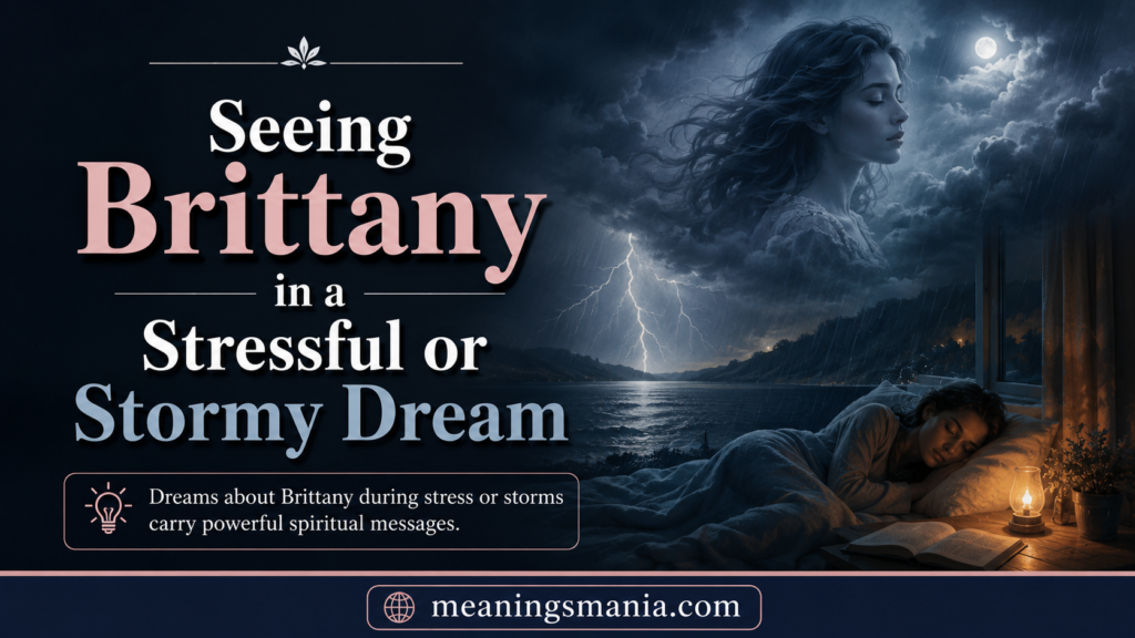 seeing-brittany-in-a-stressful-or-stormy-dream