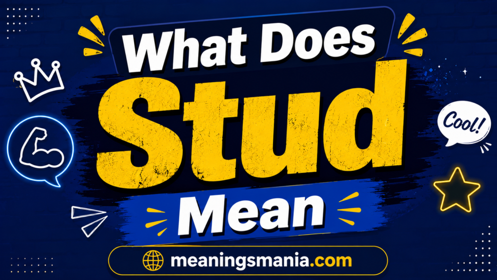 what-does-stud-mean