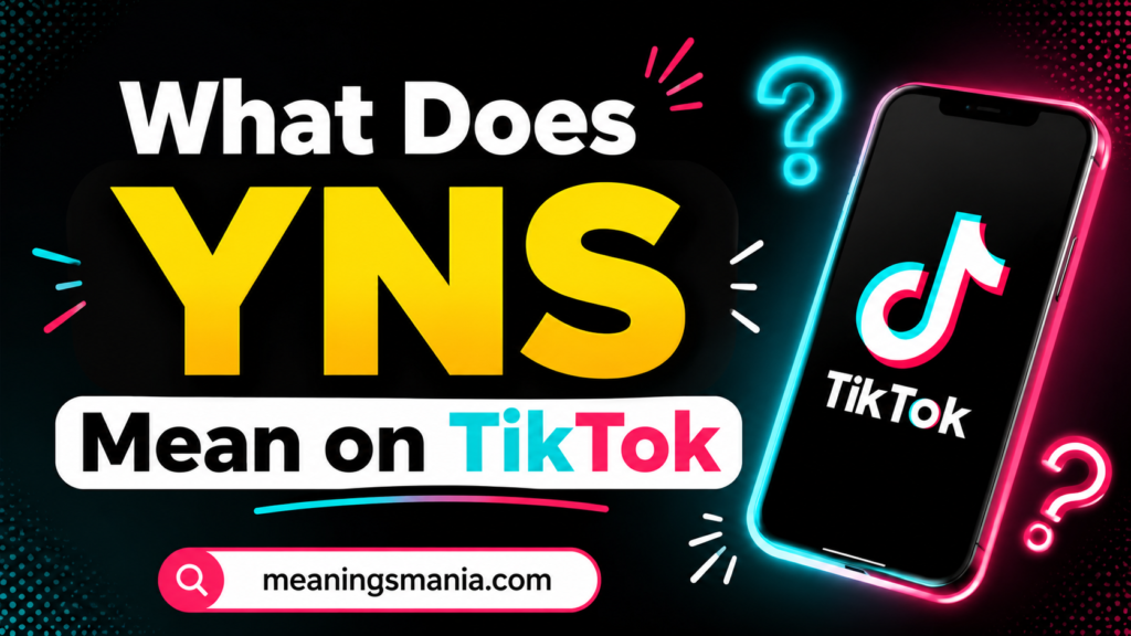 what-does-yns-mean-on-tiktok